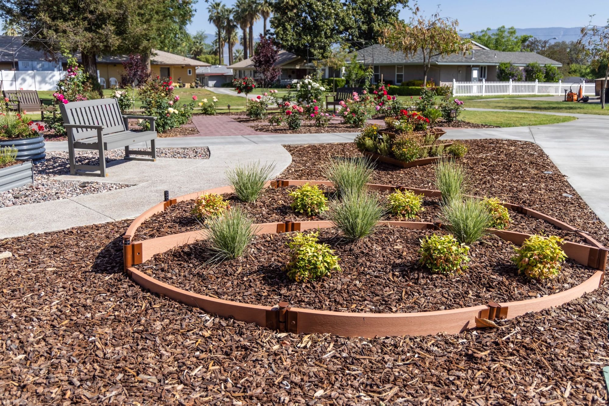 Garden area with a path and a bench