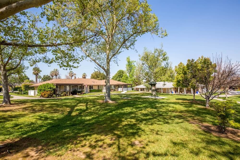 Grassy area with trees between Plymouth Village residences