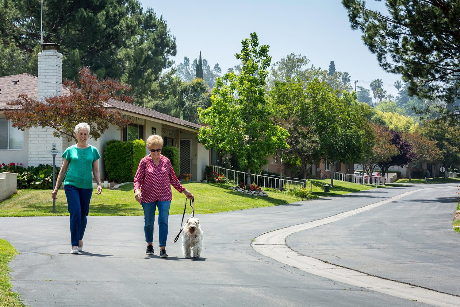 Two women walking a dog down the street
