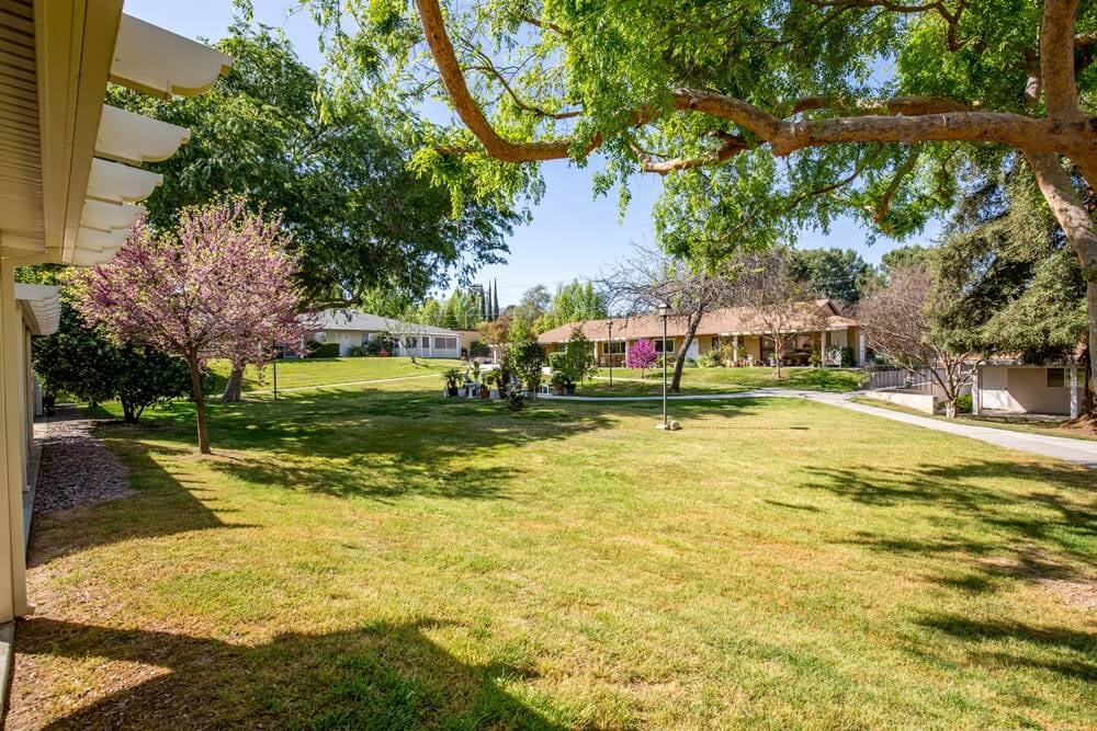 Grassy areas between Plymouth Village residences