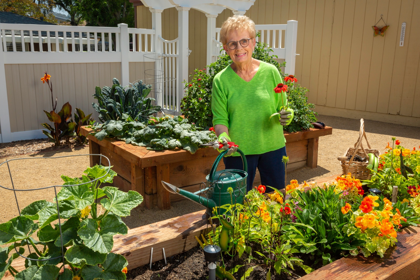 Woman at garden planter boxes