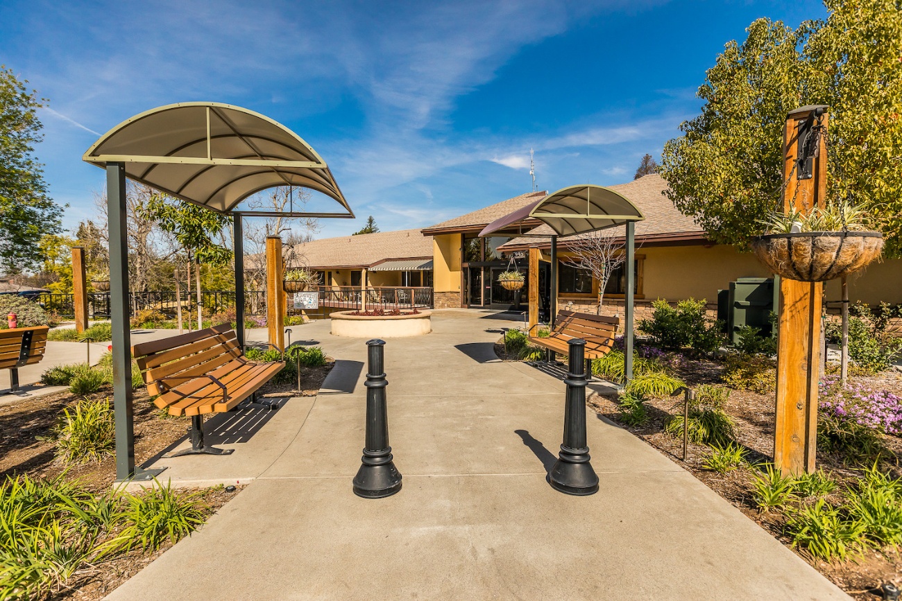 Path with benches on each side and hanging planter