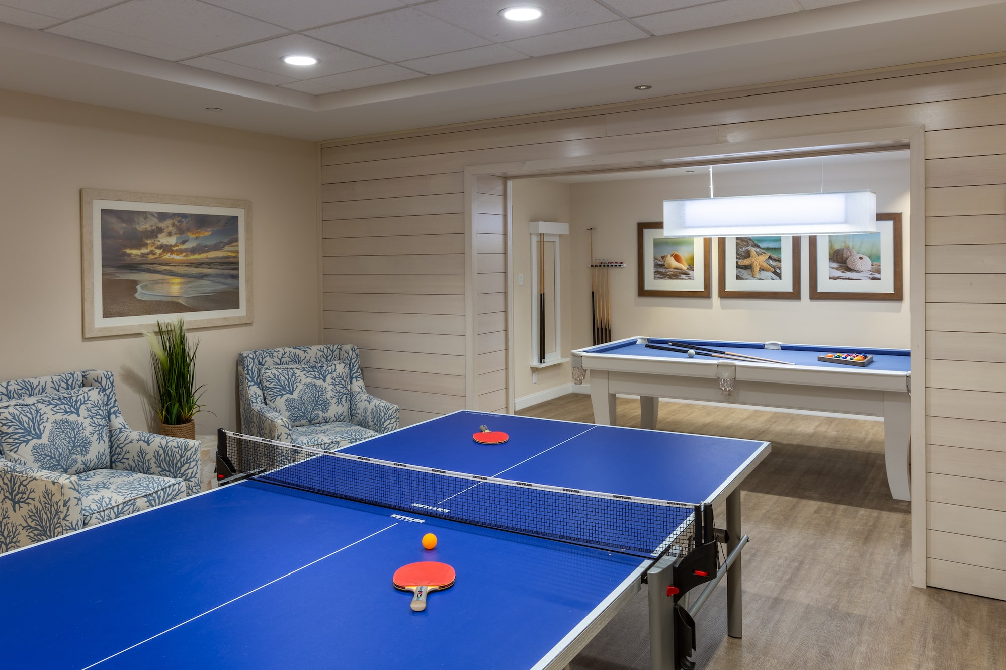 Pool and ping pong tables