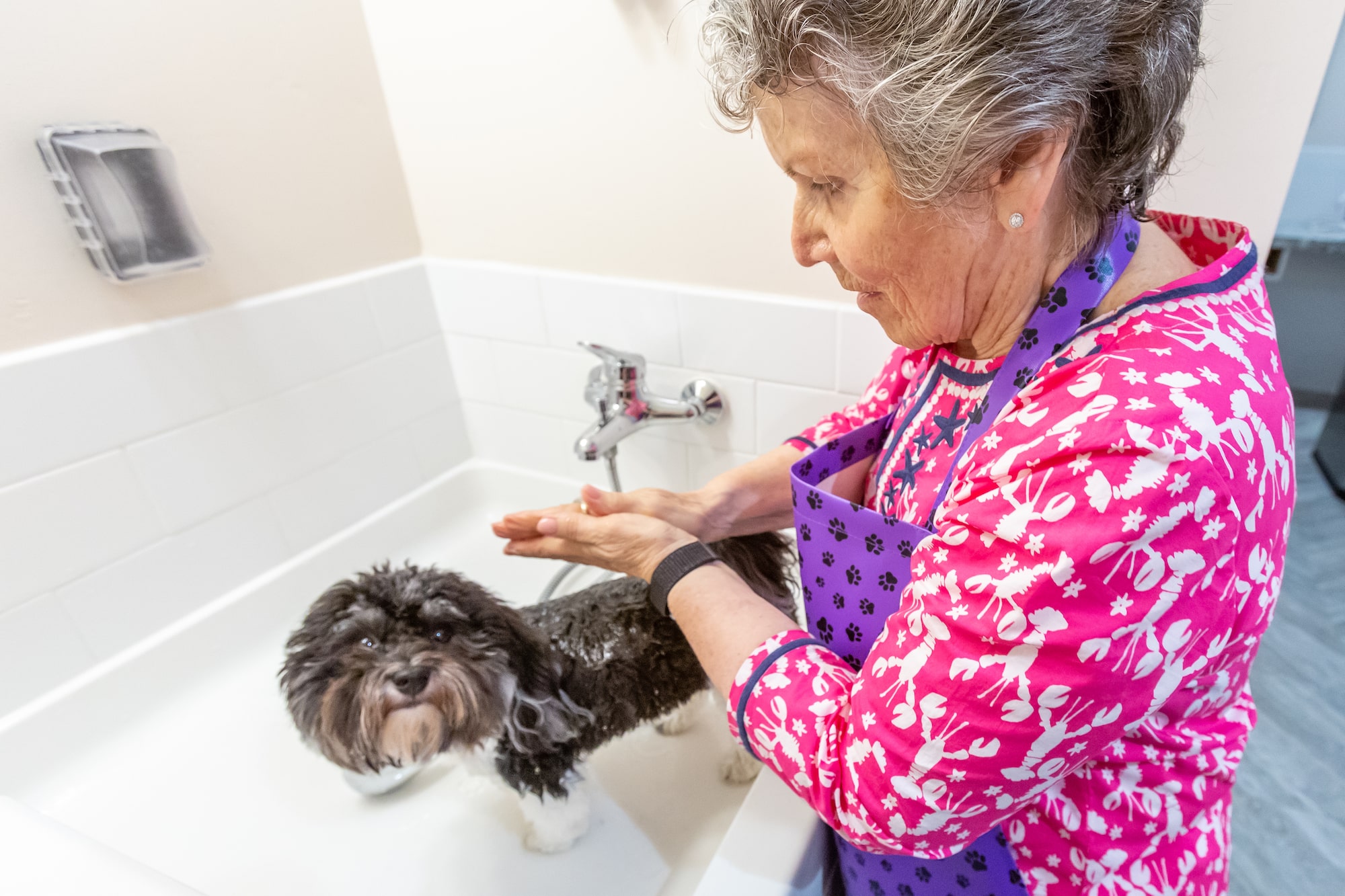 Woman giving her dog a bath at the dog spa