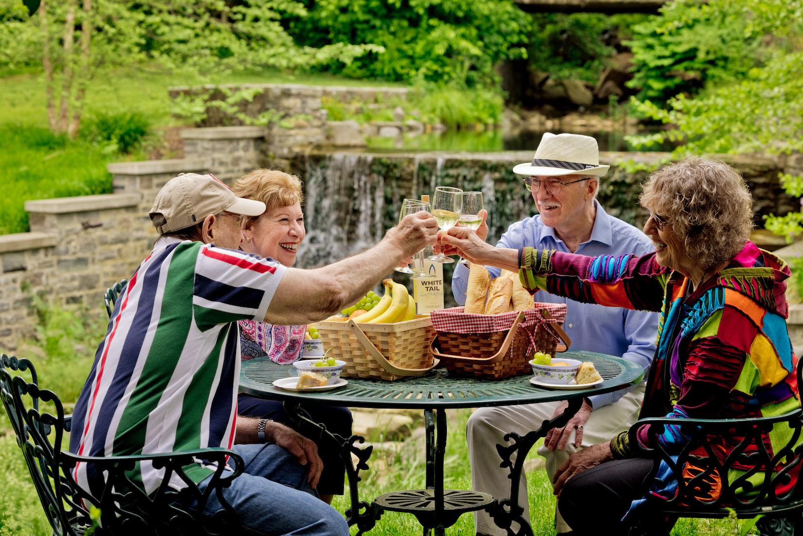 Seniors toasting with wine glasses at an outdoor table with picnic baskets