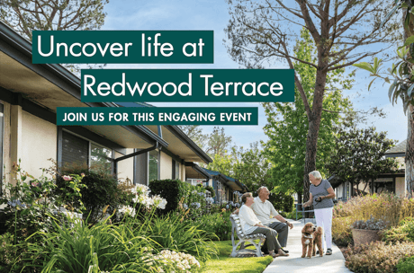 Outdoor community scene with people and text about Redwood Terrace event.