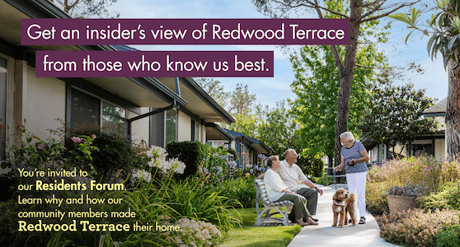 Residents chatting outdoors at Redwood Terrace, surrounded by gardens and homes.