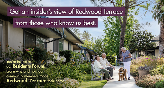 Residents chatting outdoors at Redwood Terrace, surrounded by gardens and homes Residents chatting outdoors at Redwood Terrace, surrounded by gardens and homes