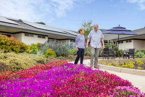 Senior couple walking by purple and pink flowers