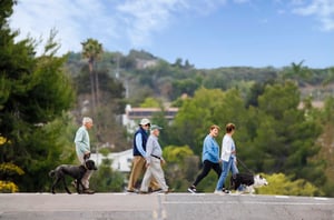 Group of seniors walking across the stree with their dogs