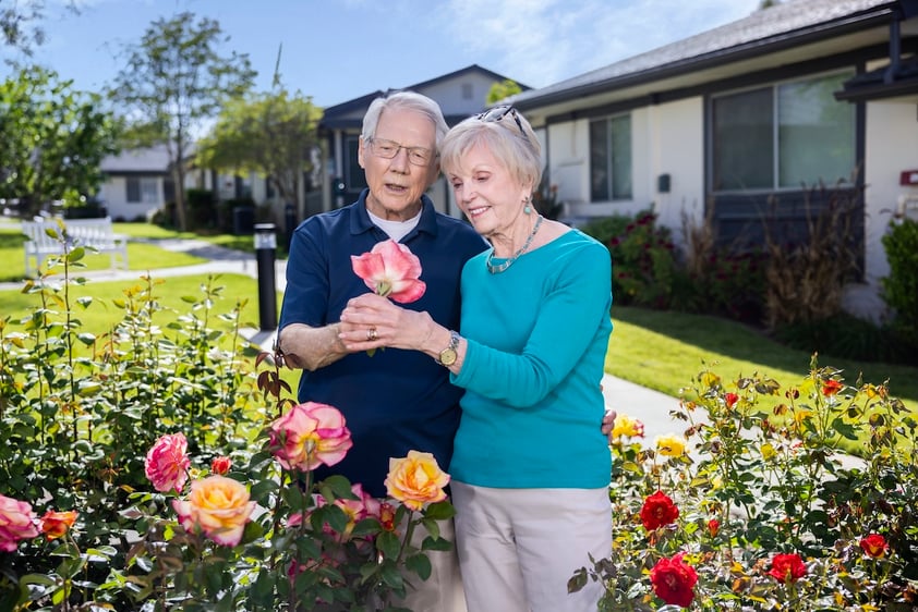 Senior couple looks at roses