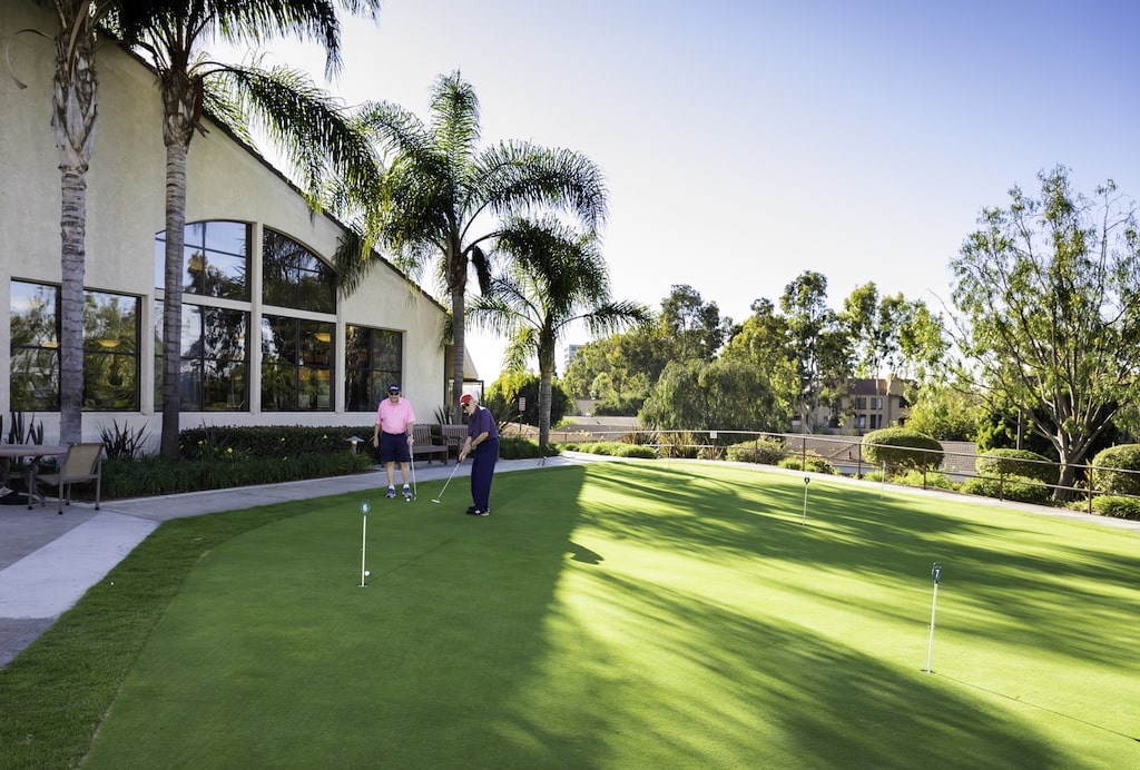 Two men playing golf on putting green