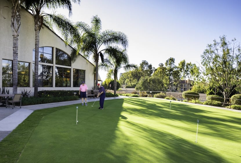 Two men playing golf on putting green