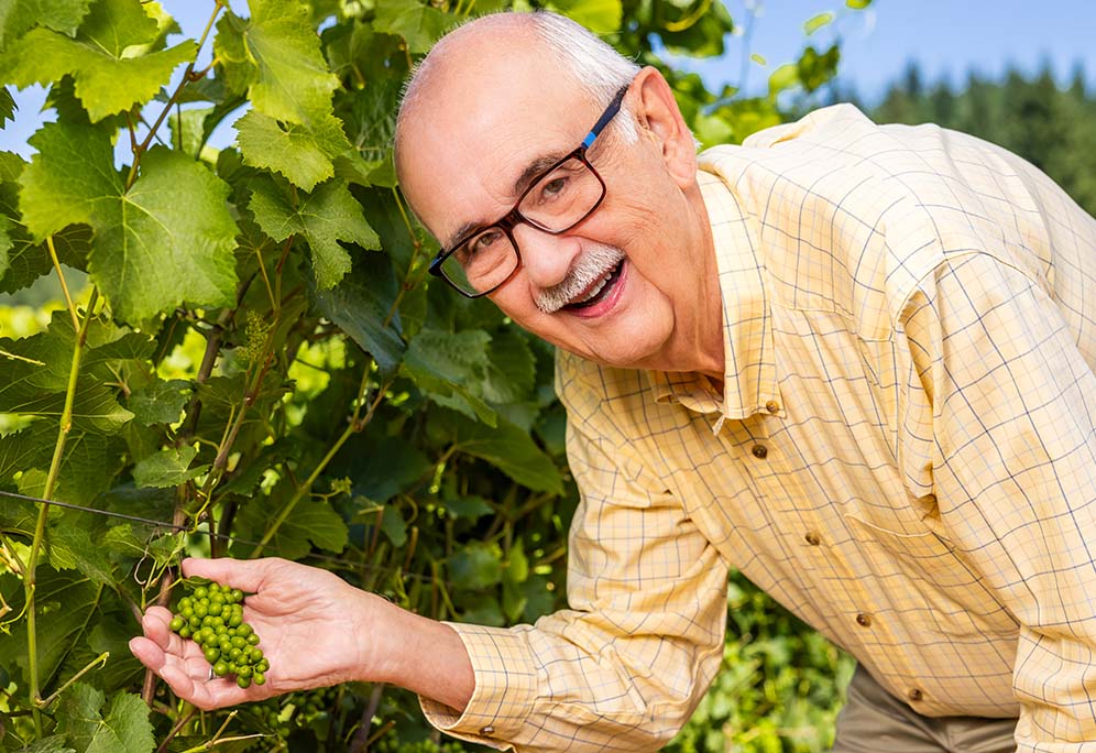 senior man posing outside holding grapes from a vineyard