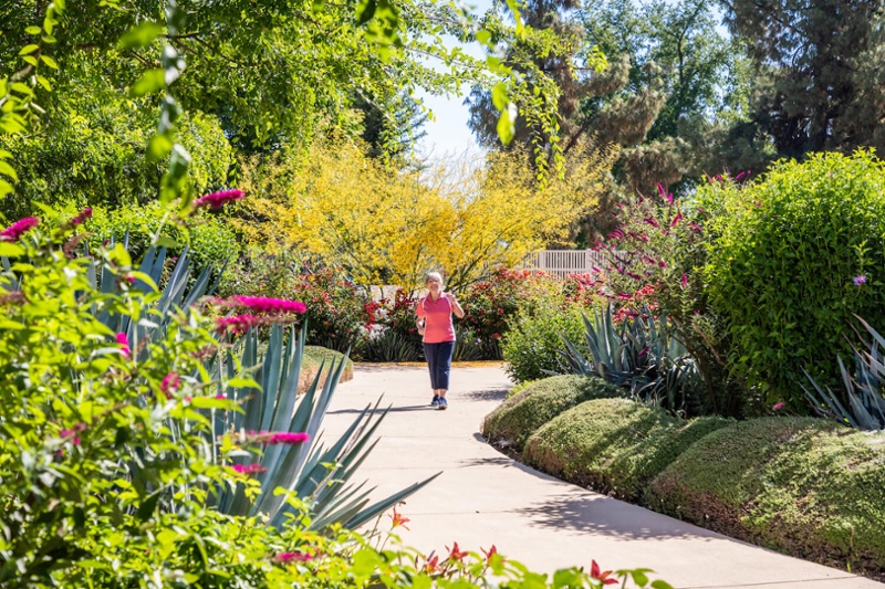 Lady power-walking on garden pathway
