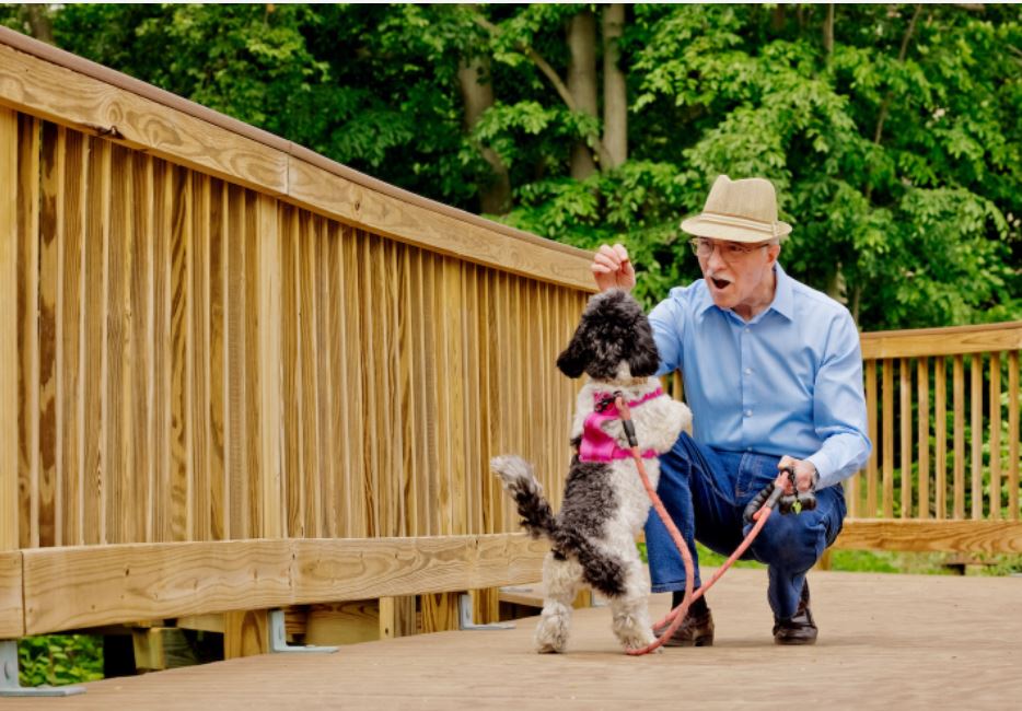 Senior man crouching next to a small dog