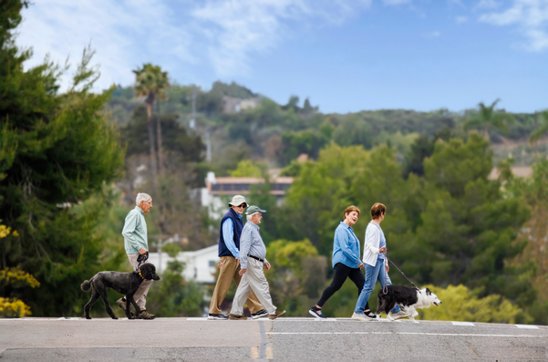 Two senior women and three senior men walking two dogs