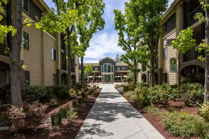 Walking path looking toward the main building at The Terraces of Los Gatos
