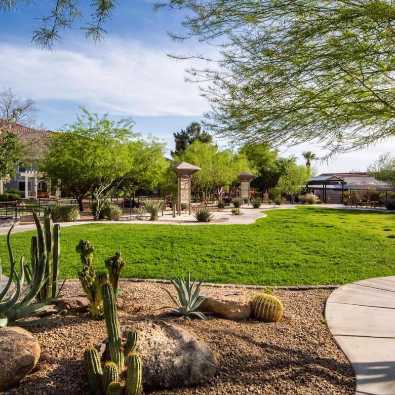 Walking path through a lush, desert landscape.
