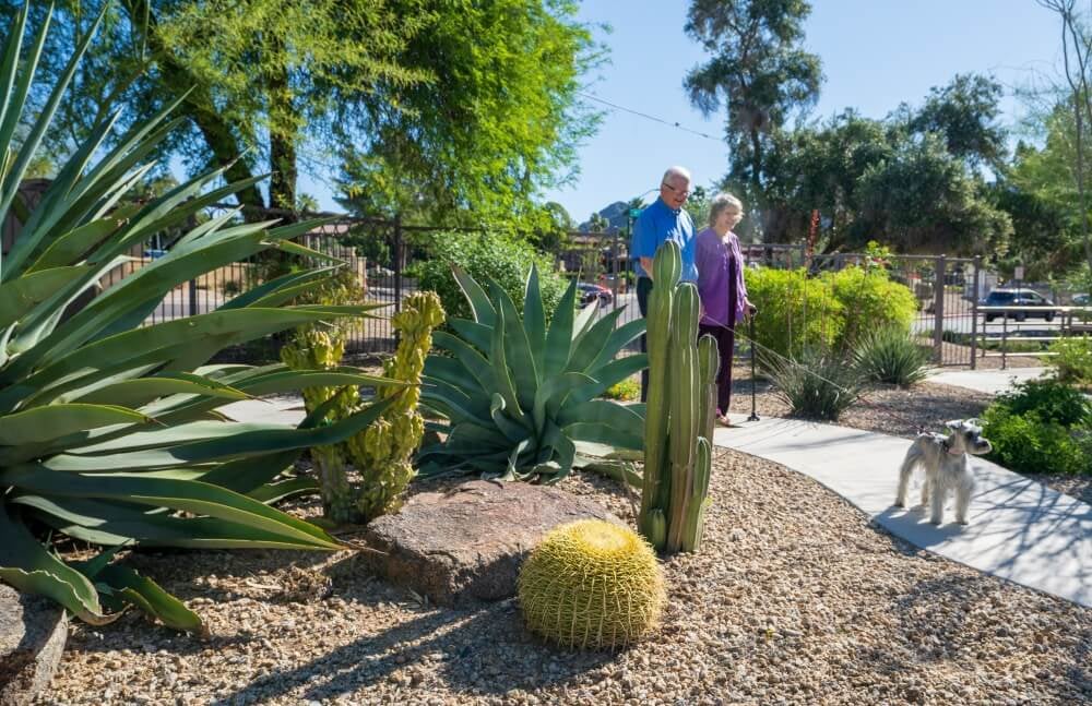 The Terraces Of Phoenix Our Community