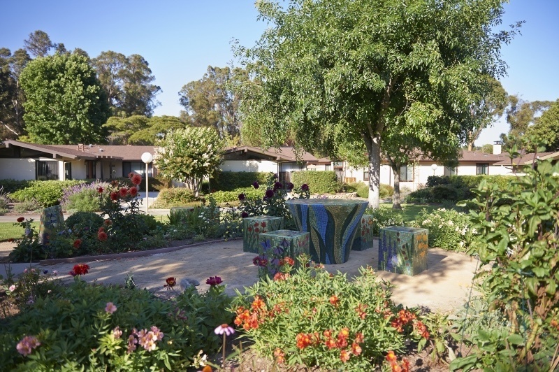 Garden with bench