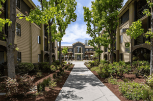 Walking path looking toward the main building at The Terraces of Los Gatos