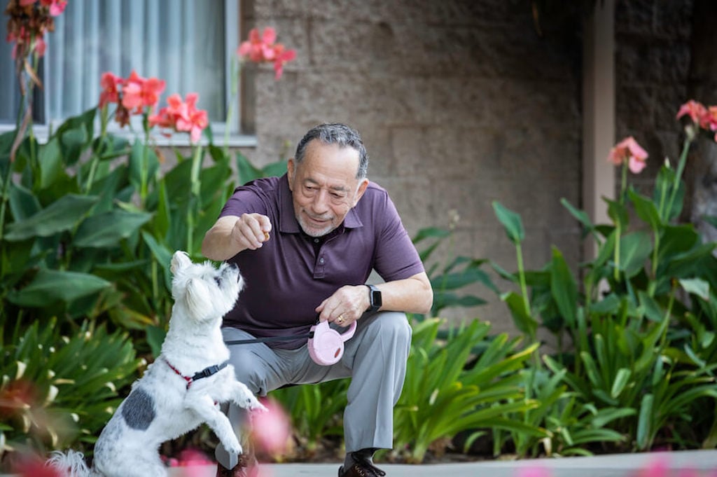 Man playing with dog