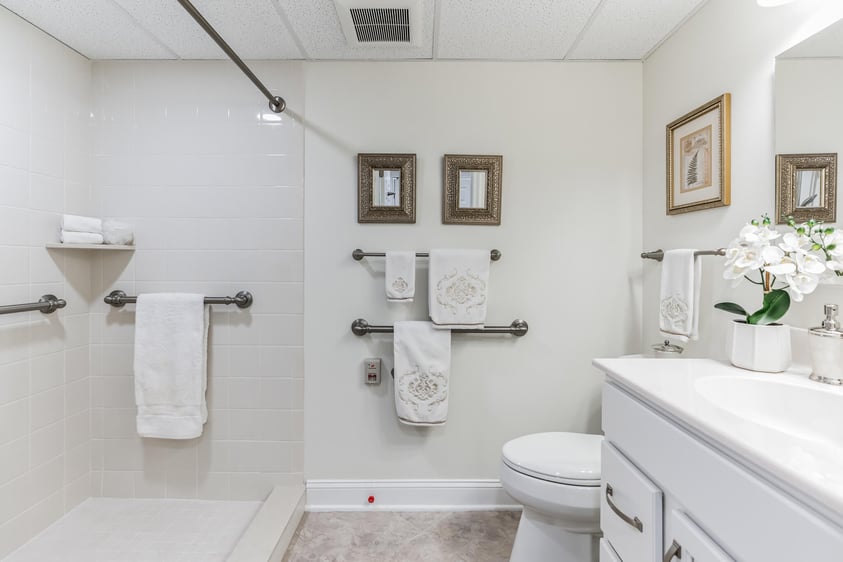 Bathroom view