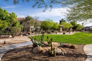 Fitness park and walking paths