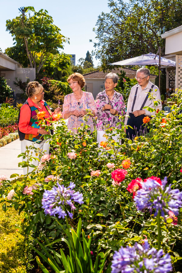 Group of seniors standing in garden