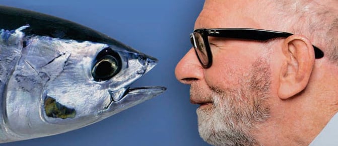 Delaying Retirement: The Tuna Expert Delaying Retirement: The Tuna Expert