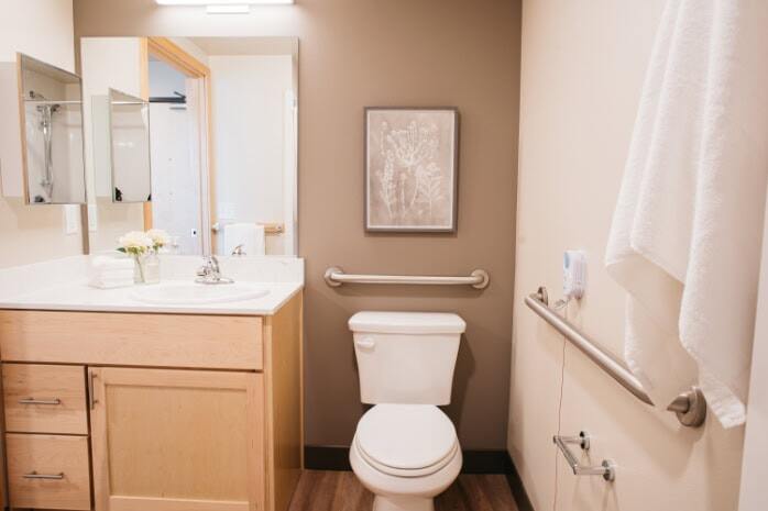 Bathroom grab-bars and emergency call bells