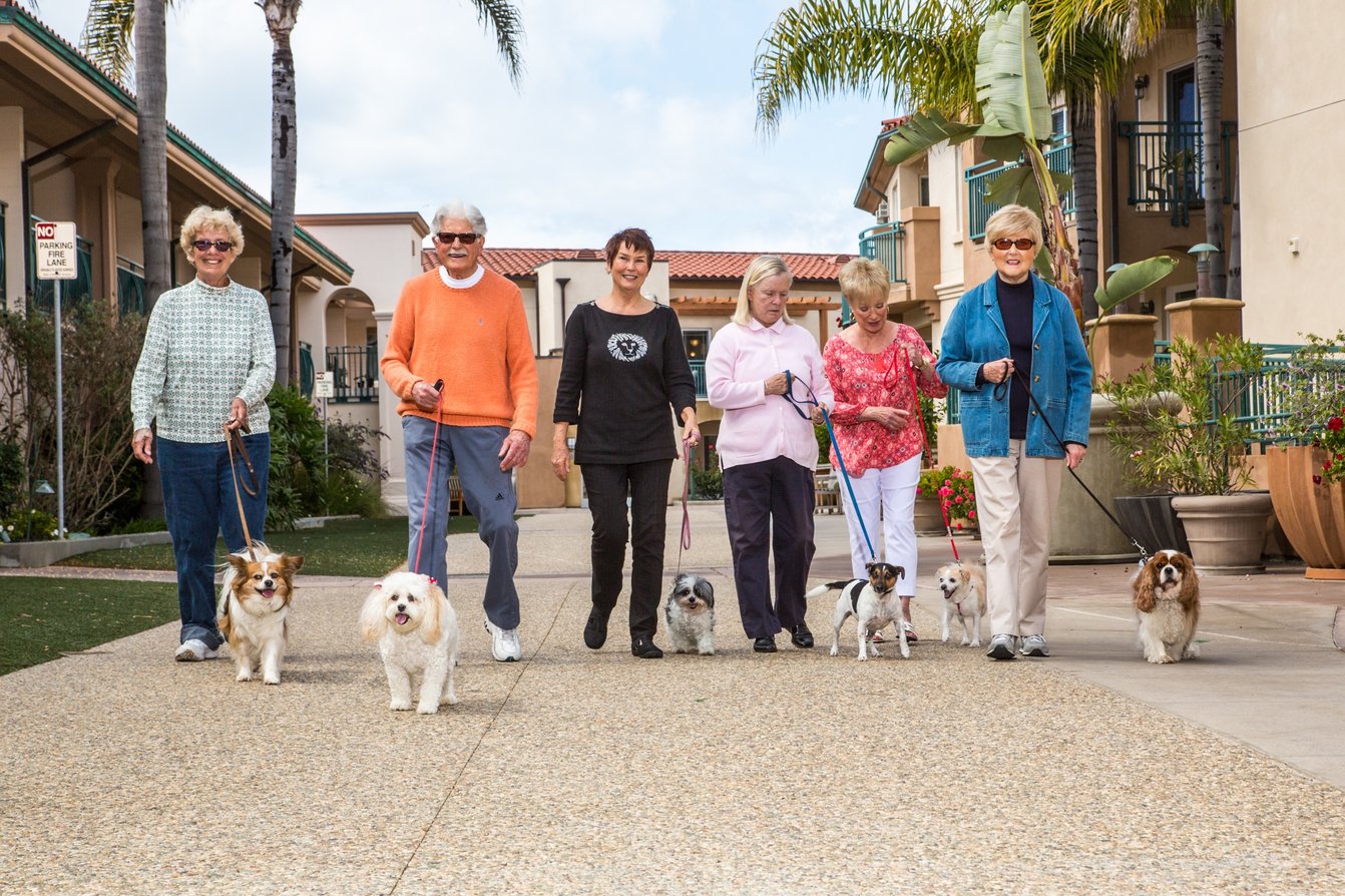 Q&A Pets in Retirement Communities