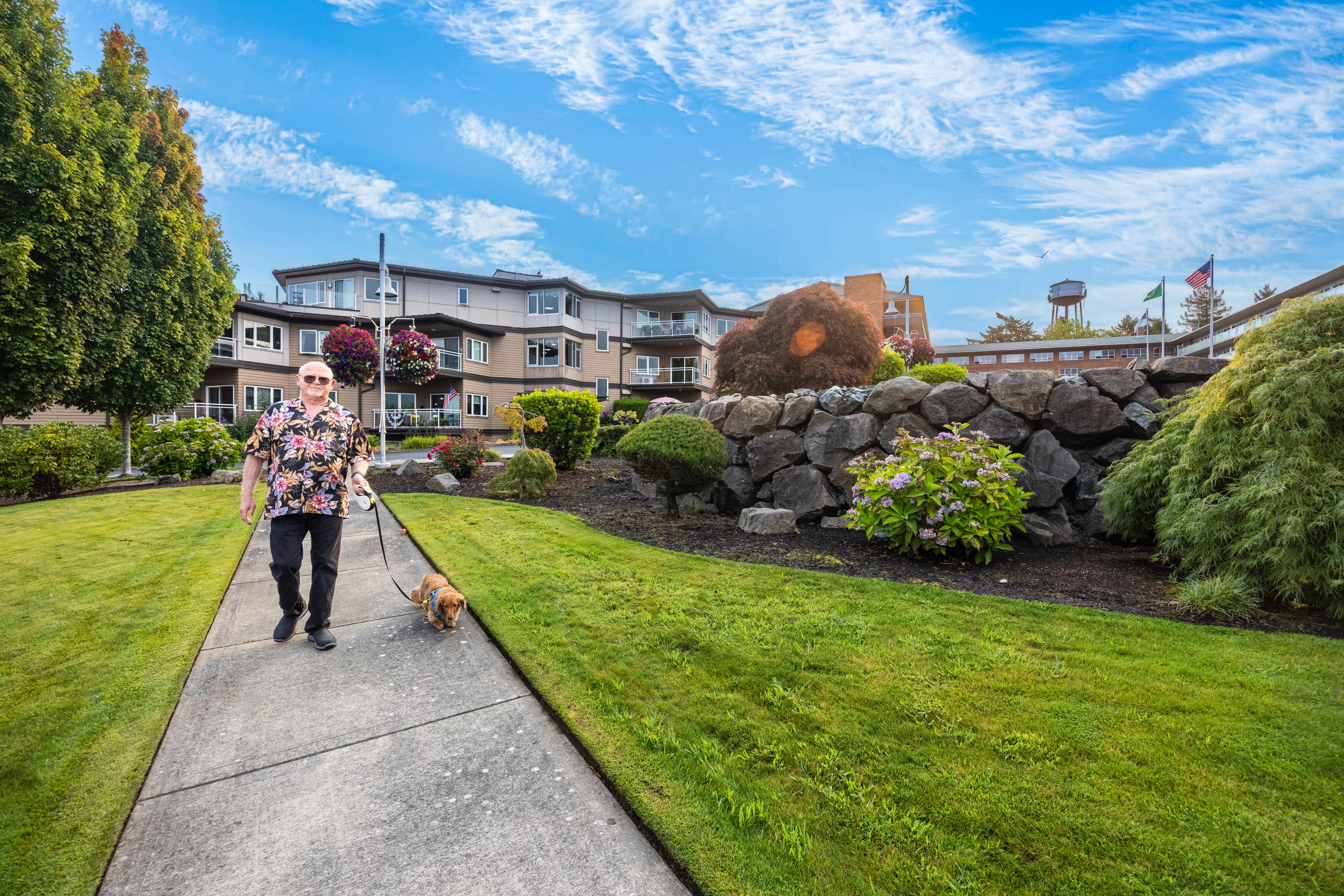 Senior taking his dog on a walk