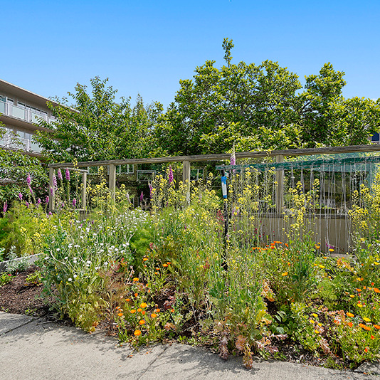 Outside gardens at Judson Park