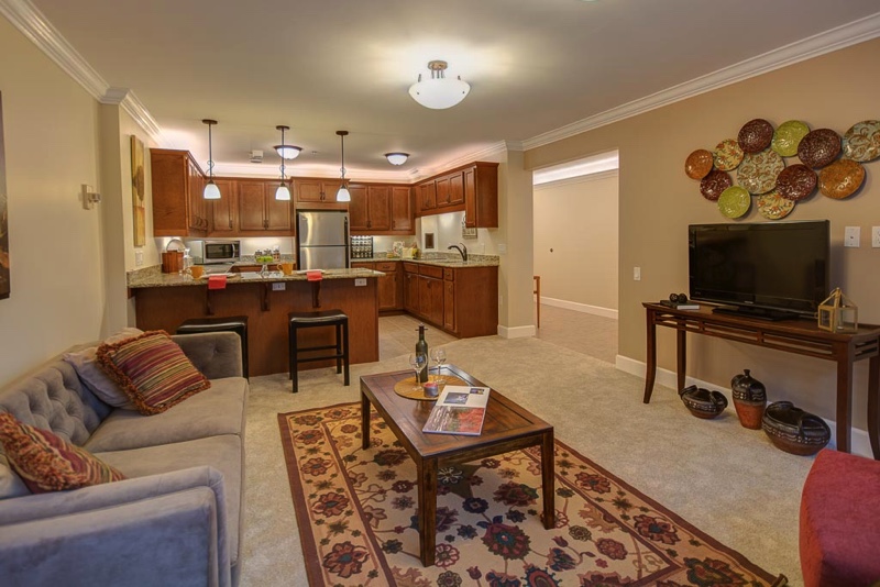 Living area and kitchen at a Judson Park residence