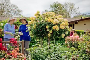 Two senior women wearing sun hats and gardening