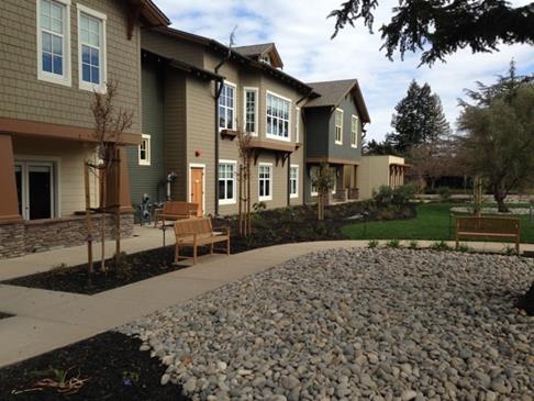Rock garden near a walkway at senior living community The Terraces at Los Altos