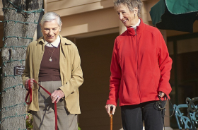 Two women walking their dogs