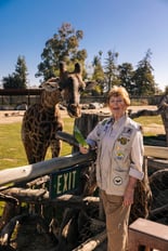 Jean Chaffee feeding a giraffe.