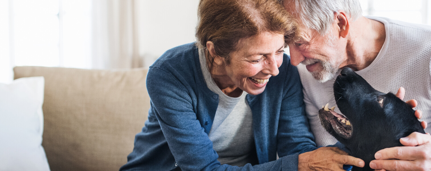 Smiling senior couple sitting on the couch petting a black dog