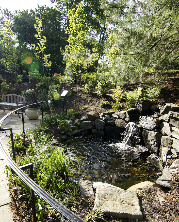 aug2017_rosemont_pond (1)