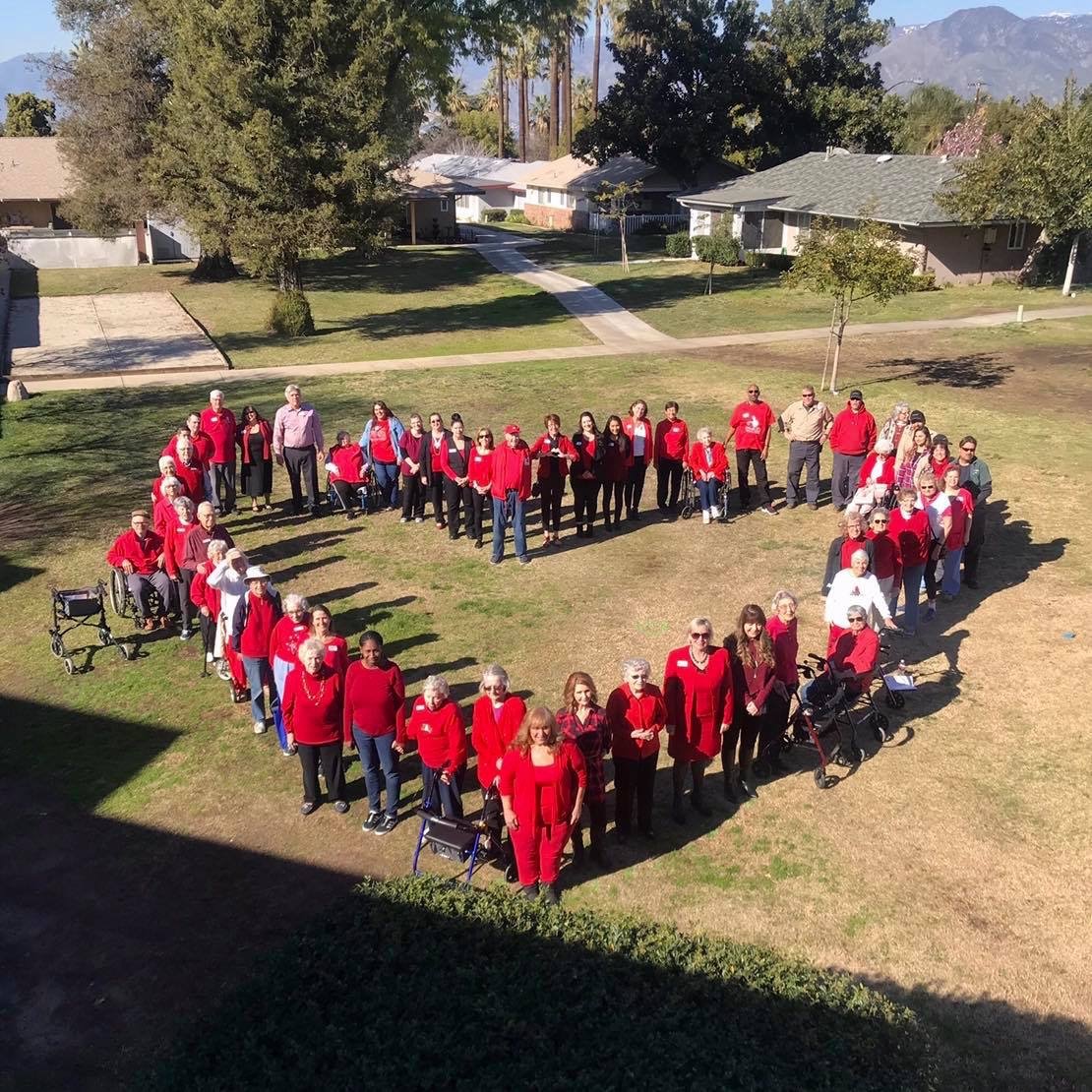 heart photo