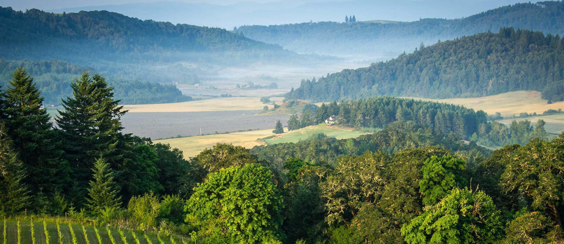 Willamette Valley