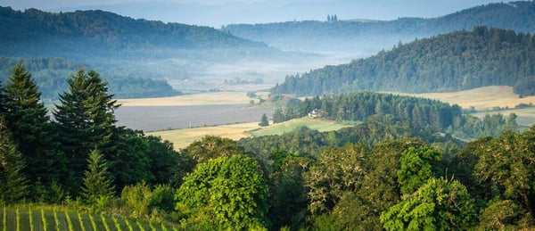 Photo and Video Gallery | Hillside
