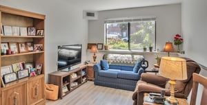 Living room in an apartment at The Terraces at Summitview