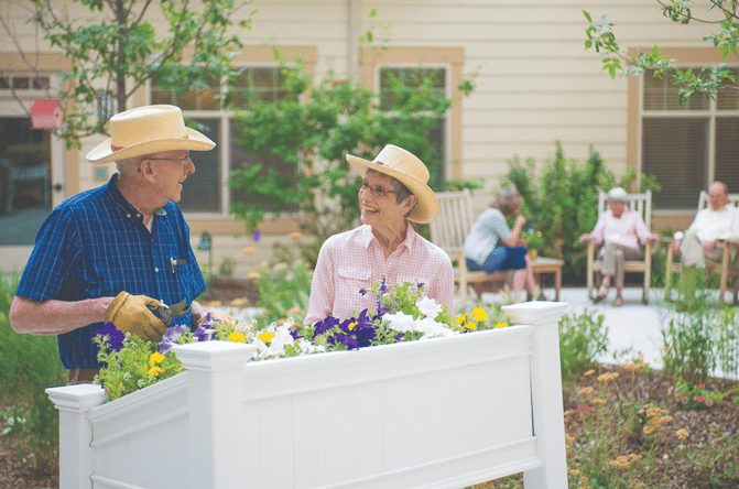 Seniors gardening
