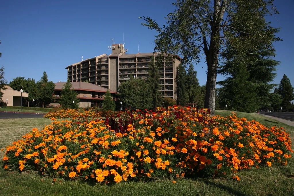 Flowers in front of the Rosewood community