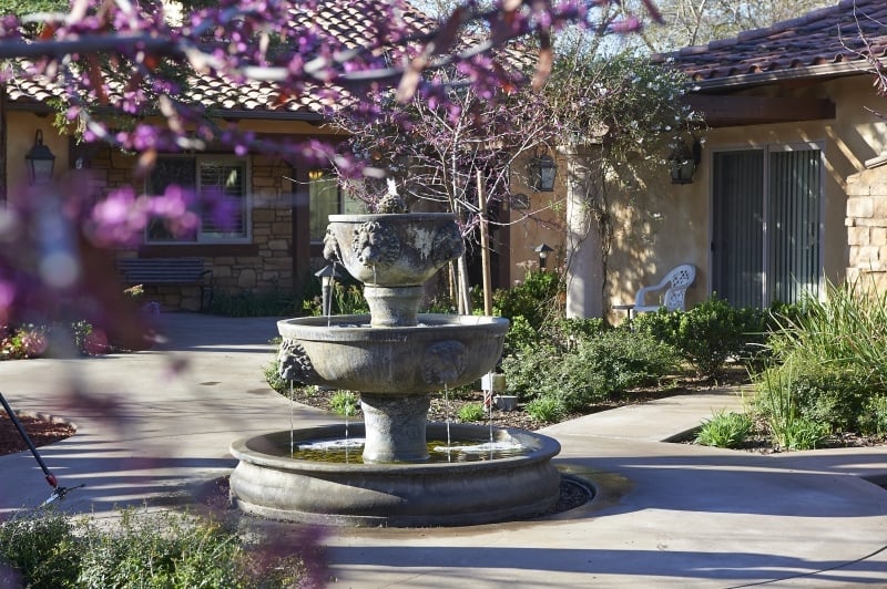 water fountain in garden