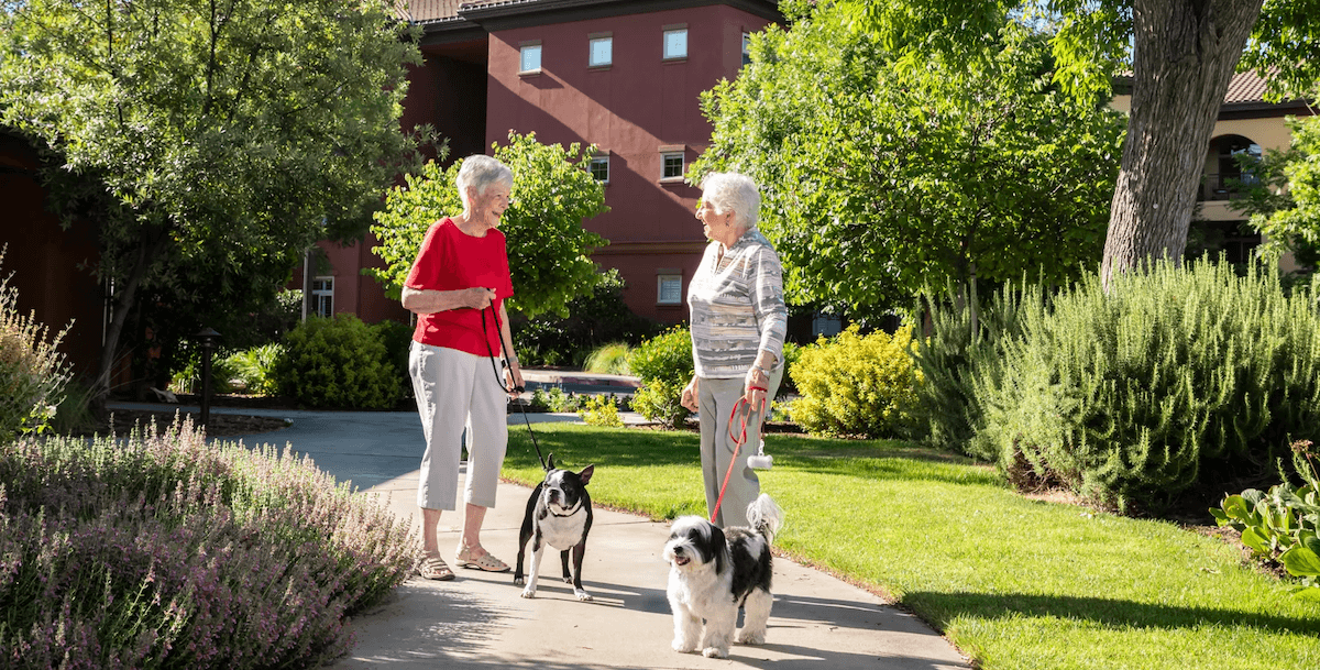 Two senior women walking dogs on sidewalk